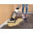 BISSELL CrossWave® Edge Wet Dry Vacuum 4111