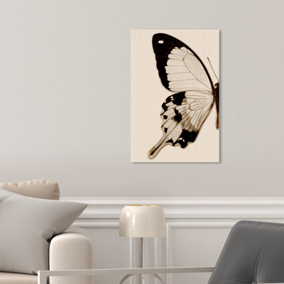 Animals Sepia Butterfly I Insects  Graphic Art on Canvas