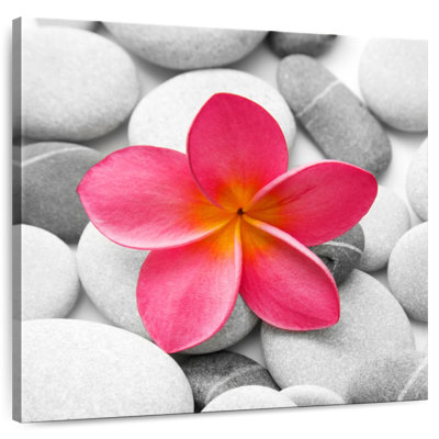 Kerrick Zen Flower
