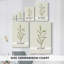 Olive Leaves III -Galerie enveloppée Cavas