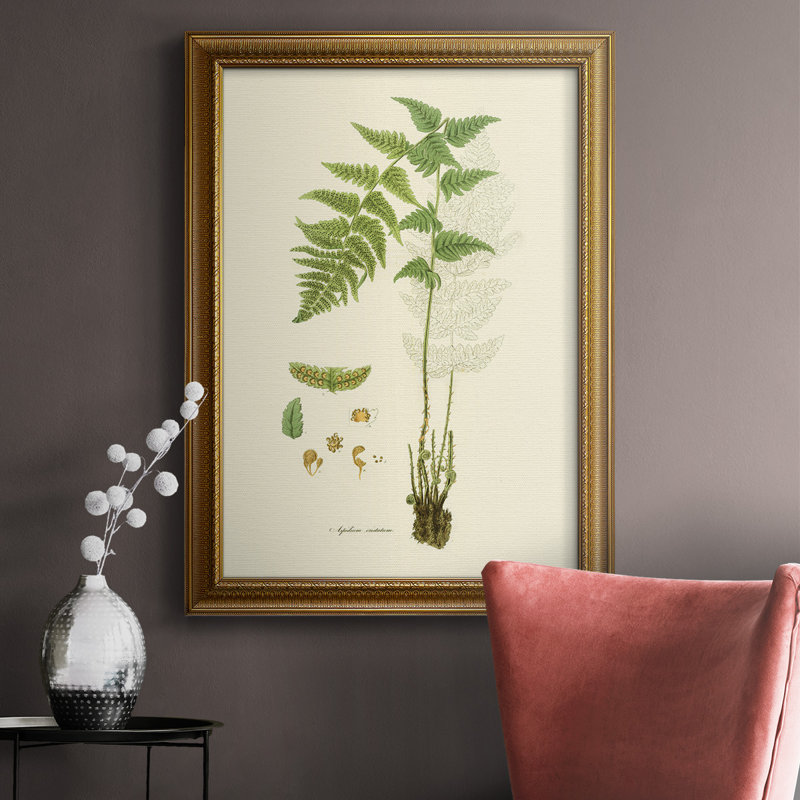 Toile encadrée de qualité supérieure «Curtis Ferns I» - prête à être accrochée, L 18 po x H 27 po