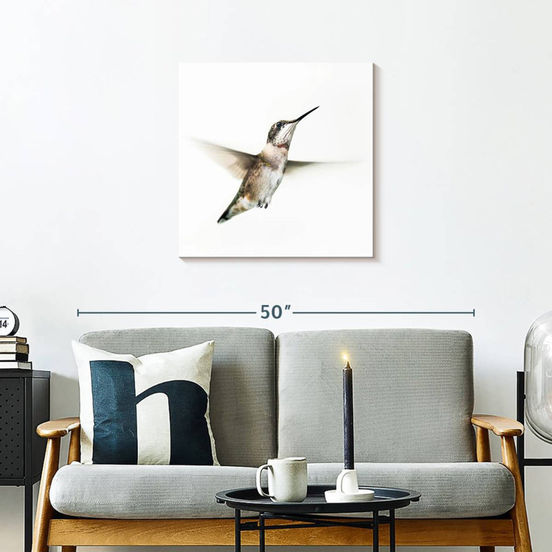 Crowle petit colibri
