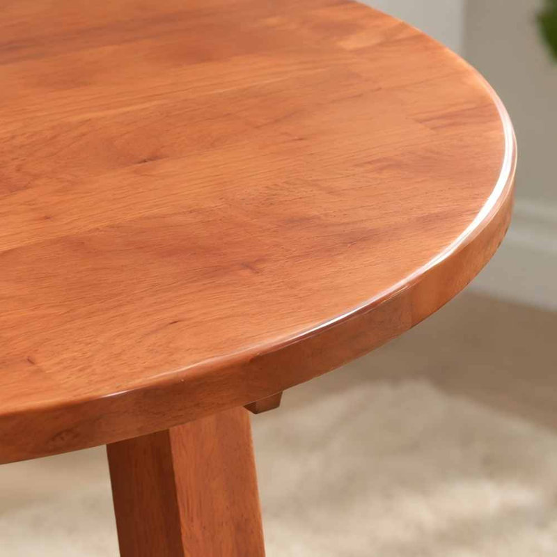 Table d'appoint ronde à deux niveaux en bois massif avec tablette de rangement, idéale pour le canapé et la table de chevet.