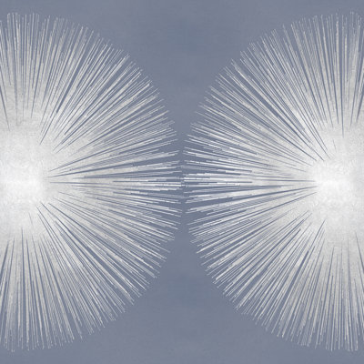 Silver Sunburst on Photograph Gray Ii by Abby Young - Wrapped Canvas Art Prints