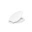 Ridgewood® Toilet Seat-259282-89391413