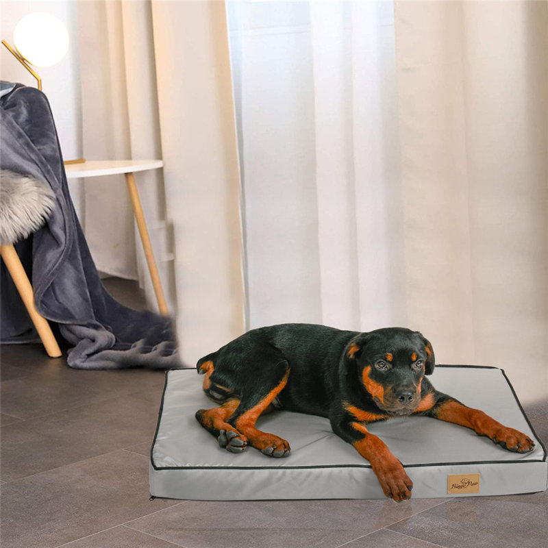 Coussin Pet, Petit (H 31 po x l 37,4 po x P 19,6 po)