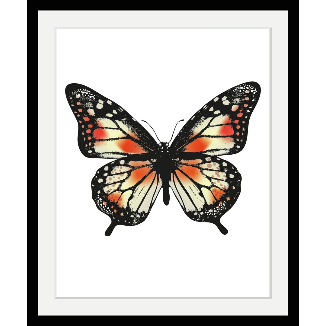 Gerahmter Grafikdruck Butterfly