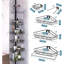 Tension Shower Shelf