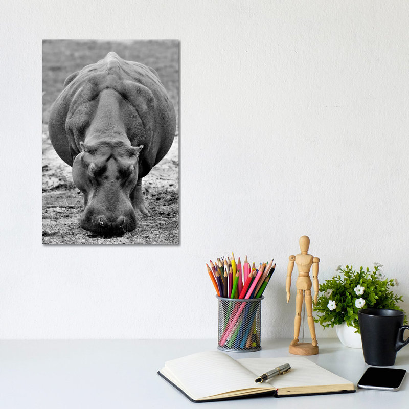 Grasing Hippo by Elmar Weiss - Wrapped Canvas Print, 30.48cm H x 20.32cm W x 1.91cm D