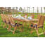 Harlow Outdoor 11 - Piece Teak Dining Set-1249293201-1249293206