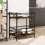 Newlon Metal Bar Cart-2120212667