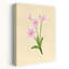 «Delicate Pink Blossoms Delicate Elegant Serene Flower Nature», reproduction d'art murale-129772756