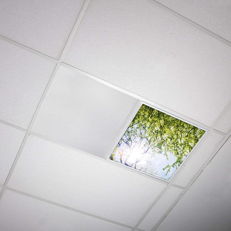 Tree Square Fixture Component Ceiling Light