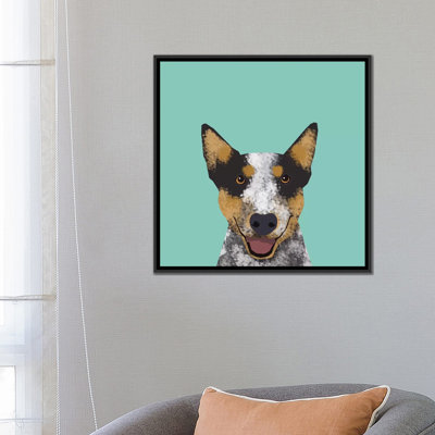 Bouvier australien, impression sur toile tendue