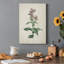 «Traditional Botanical II», impression sur toile tendue-1942529584