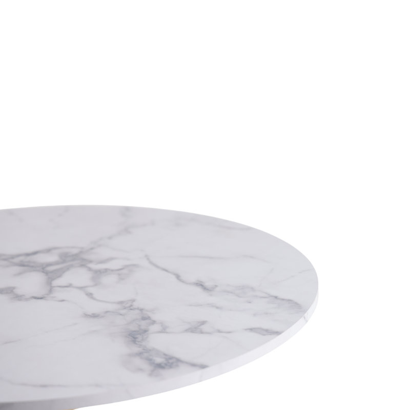 with Stainless Steel Base Dining Table