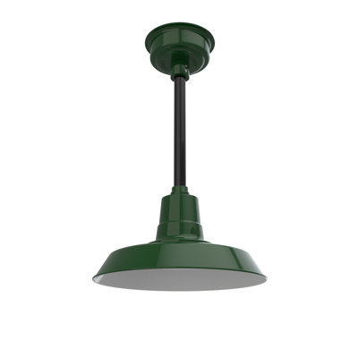 Luminaire suspendu en forme de dôme à 1 lumière DEL Haleigh
