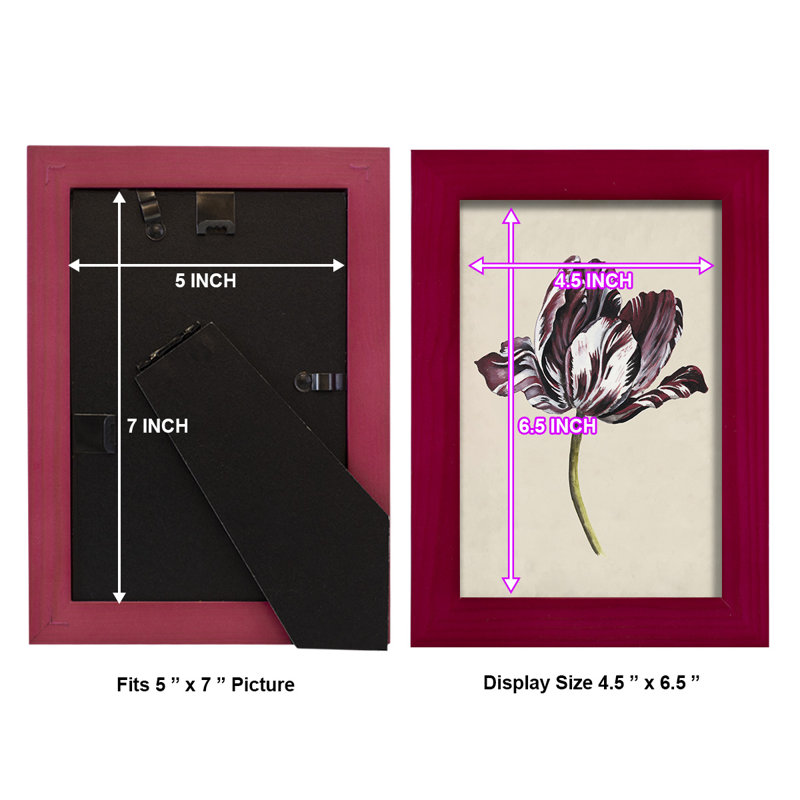 Antique Tulip Study I, reproduction d'art encadrée, Rouge, H 6 po x l 4 po x P 1 po
