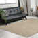 Benson Oriental Indoor Rug