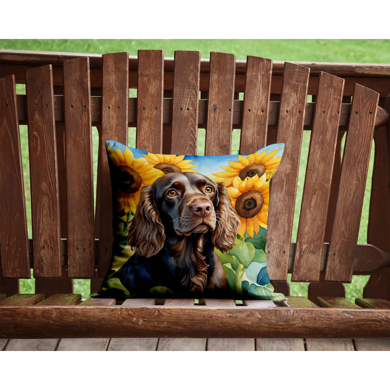 Other/No Pattern Indoor/Outdoor Throw Pillow, 14"H x 14"W