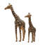 Set Of 2 Standing Giraffe