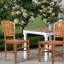 Celise Outdoor Teak Dining Side Chair