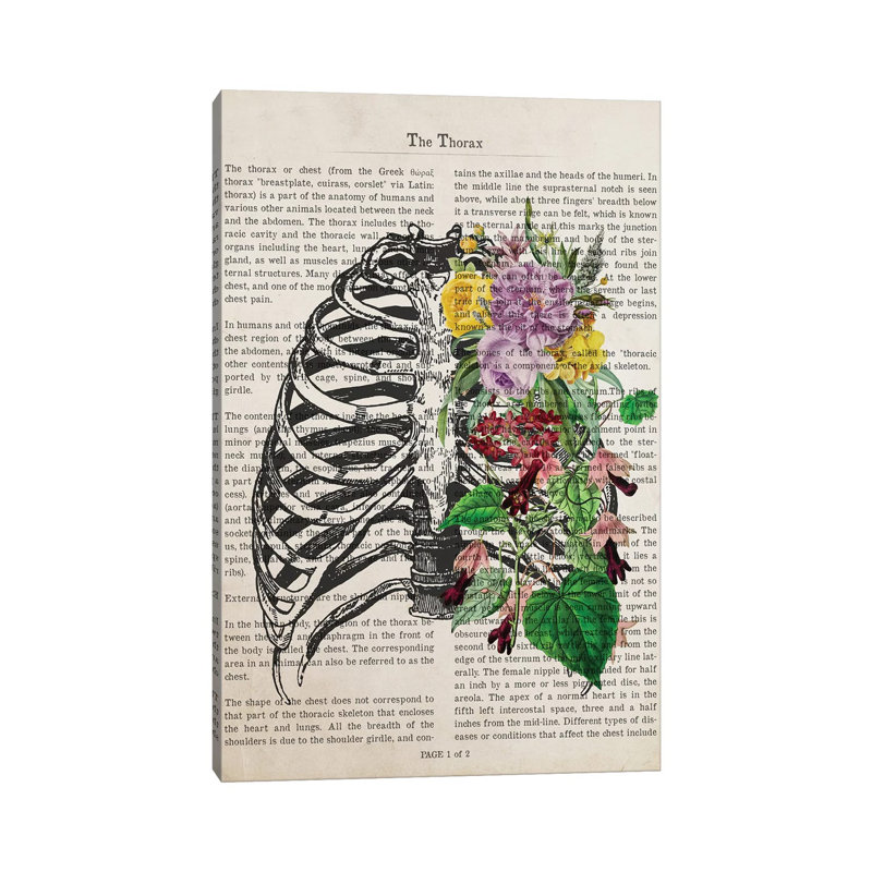 The Thorax by Aged Pixel - Wrapped Canvas Print, 20.32 cm H x 30.48 cm W x 1.91 cm D