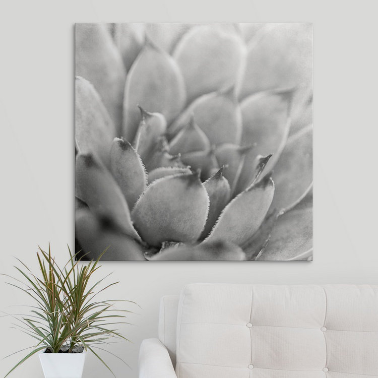 «Garden Succulent I» par Laura Marshall, reproduction de photo, H 35 po x l 35 po x P 1,5 po, Toile