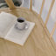 3 Seater Bench -  -708246062