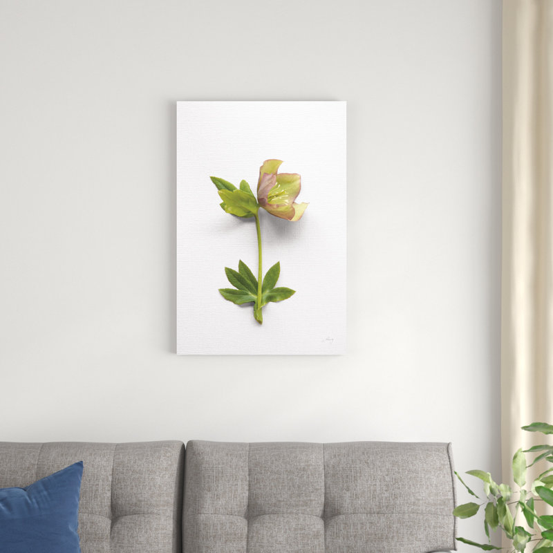 Hellebore Study III, H 30 po x l 20 po x P 1,25 po