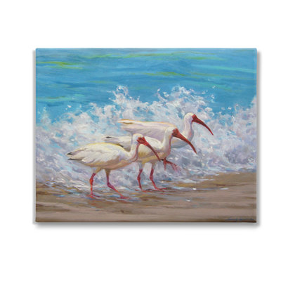 «Splashing Sea Birds Wrarap Canvas» par Sandy Nelson sur toile