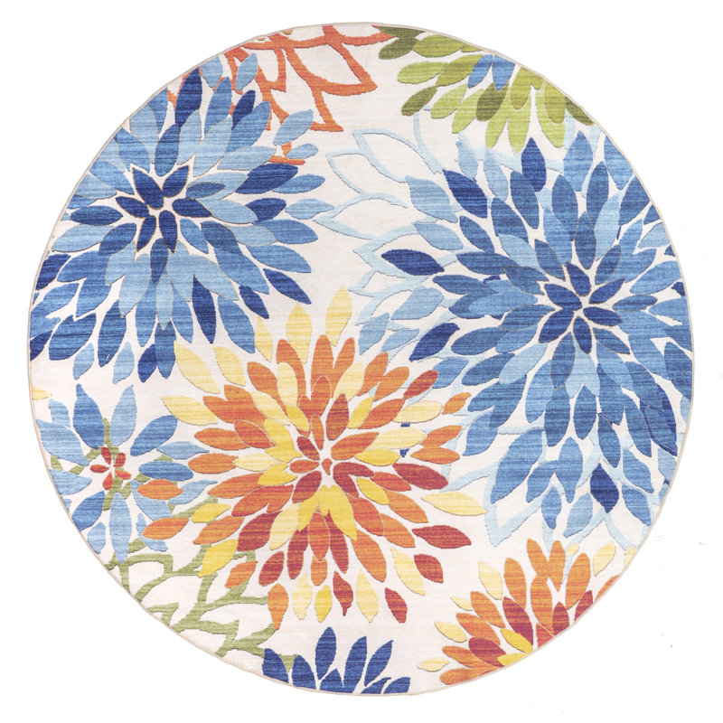 Rosana Floral & Paisley Machine Washable Indoor/Outdoor Accent Rug for Living Room Patio Deck Front Porch Entryway Kitchen