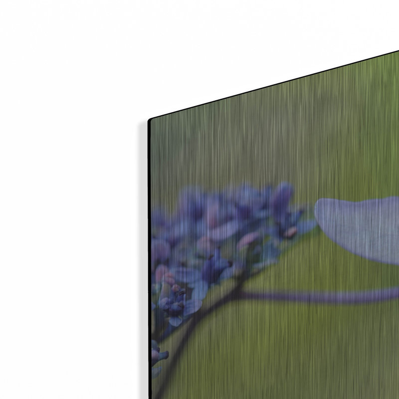 «Blue HCora Nieleydrangea» par Cora Niele, H 16 po x l 24 po