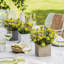 Canto Pot Planter-36478253