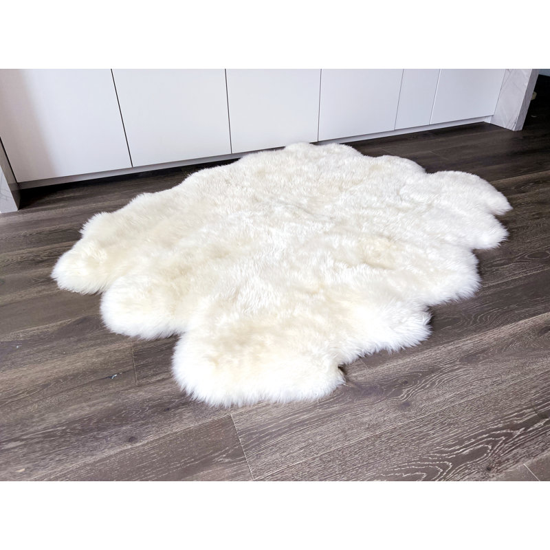 Wrentham Sheepskin Indoor Rug, Novelty 5' x 6'