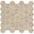 Beige/Gold/Brown