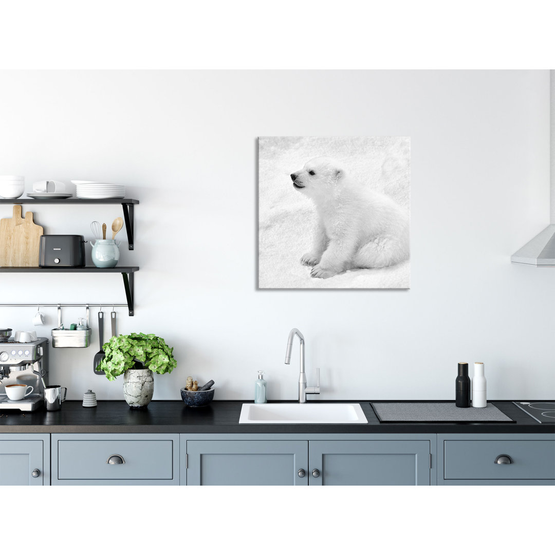 Glasbild Polar Bear Baby