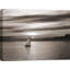 Set Sails - Wrapped Canvas Print-43077907