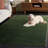 Imboden Revive Performance Rug-916449365