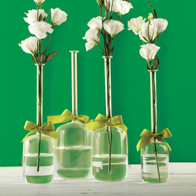 Ensemble de vases de table 4 pièces Sleek and Chic Jug