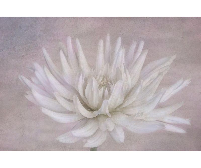 Wrapped Canvas Print, 50.8 cm H x 76.2 cm W