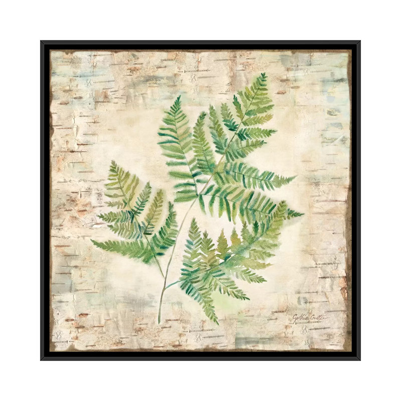 «Birch Bark Ferns I», impression sur toile, H 18 po x l 18 po x P 1,5 po, Toile avec cadre noir, Pas de tapis