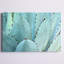 «Cactus», reproduction d'art sur toile tendue-622141702