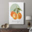 Orange - Cavas enveloppés de galerie-1077374369