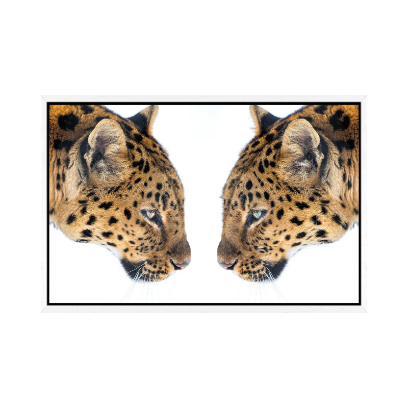 Mirrored by David Gardiner - Print on Canvas, 66.04 cm H x 45.72 cm W, White Framed