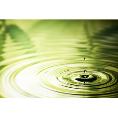 Water Nature Ripple 1 Piece Wrapped Canvas Wall Art