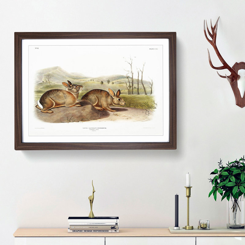 Bachmans Hares by J.W. Audubon - Picture Frame Painting Print, Walnut Framed, 36cm H x 48cm W x 2cm D