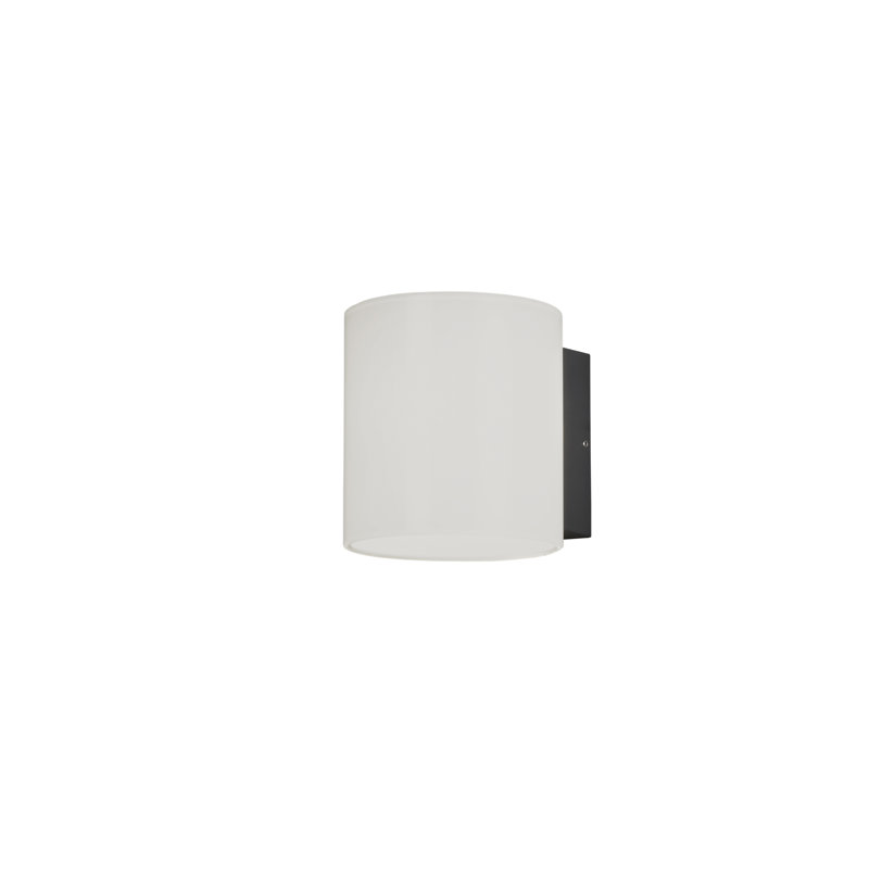 Anthracite Integrated LED Outdoor Wall Lantern