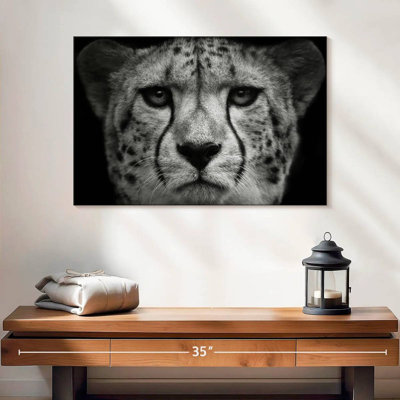 Wild Cat Portrait