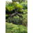 Vioria Weather Resistant Metal Garden Statue